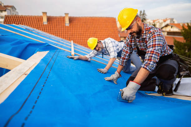Best Storm Damage Roof Repair  in Lake Panasoffkee, FL